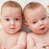 anak kembar